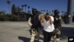 Drug War Collapsing Cartel