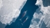 Loss of Arctic Sea Ice Presents Opportunities, Challenges