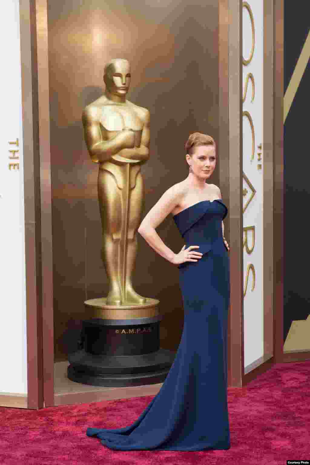 Nữ diễn viên được đề cử giải Oscar Amy Adams đến dự lễ trao giải tại Hollywood, California, ngày 2/3/2014.