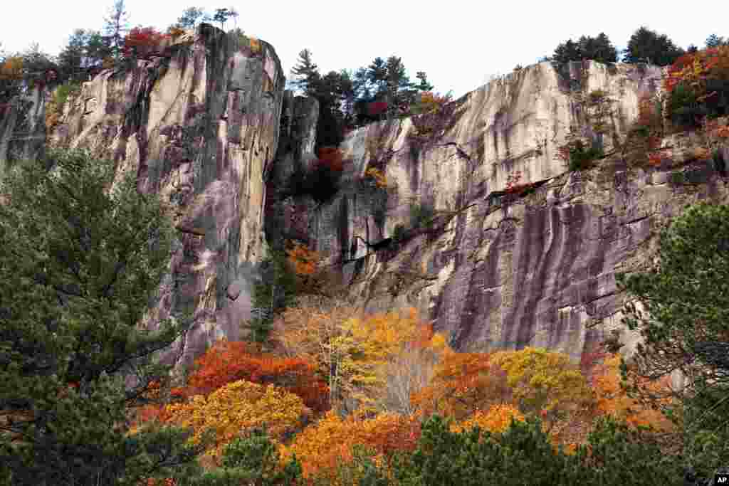 Warna-warna daun pada musim gugur terlihat di Conway, New Hampshire, AS.