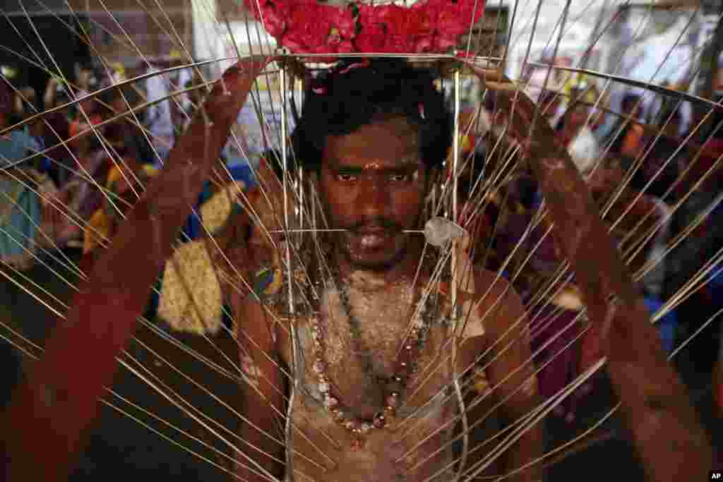 Seorang penganut Hindu, dengan tubuh yang penuh tusukan (piercing), berpartisipasi dalam prosesi keagamaan Panguni Uthiram di kota Chennai, India.