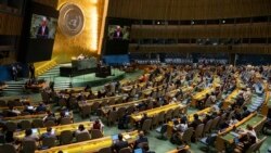 Un Comité de la ONU investiga las elecciones presidenciales de julio pasado en Venezuela