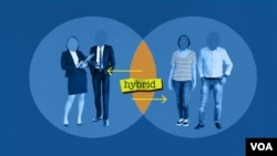 Hybrid work 