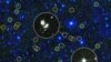 NASA Discovers Millions of Black Holes in Space