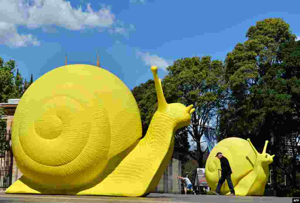 A man walks past giant neon snail sculptures created by the art collective Cracking Art Group next to Hyde Park in the central business district of Sydney, Australia. The snails, which are made from recycled plastic, have been placed in different locations of the central business district in connection with the upcoming city's Art and About festival.