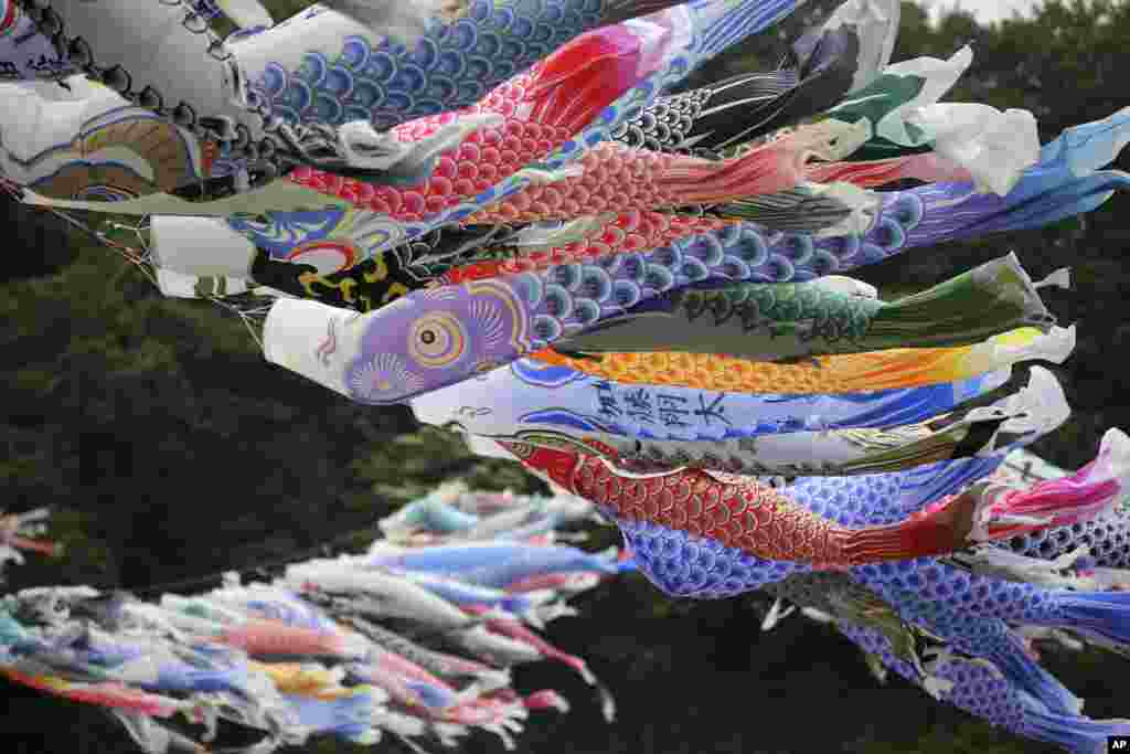 Mainan anak-anak berbentuk ikan mas warna-warni dipasang di atas sungai Sagami di Sagamihara, sebelah barat Tokyo untuk merayakan hari anak-anak di Jepang.