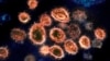 Cheap Antidepressant Shows Promise Treating Early COVID 