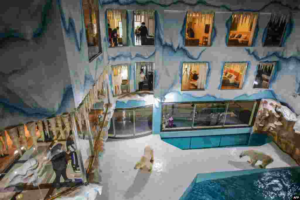 People look at polar bears inside an enclosure at a newly-opened hotel, which allows guests views of the animals from rooms on the premises in Harbin, northeastern China's Heilongjiang province.