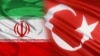 تاکید وزیر کشور ایران بر لزوم همکاری تهران و آنکارا در نبرد با تروریسم 