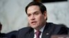 資料照：共和黨聯邦參議員魯比奧（Sen. Marco Rubio, R-FL）2019年1月29日出席參議院情報委員會聽證會。